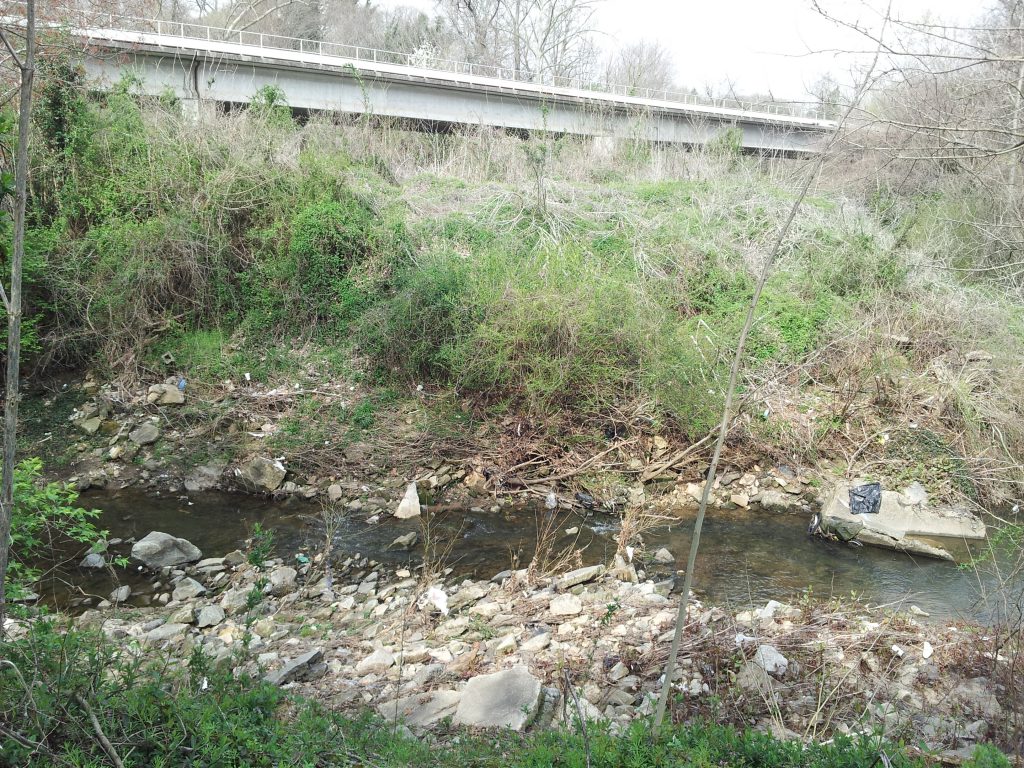 Proctor Creek CSO Release Site